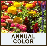 colorful landscaping riverside county