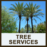 turf in southern california